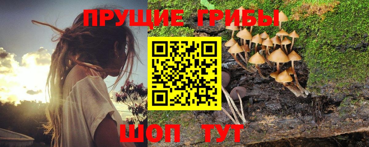 Псилоцибиновые грибы Psilocybe  Вход с VPN  Галлюциногенные грибы мицелий  Усинск 