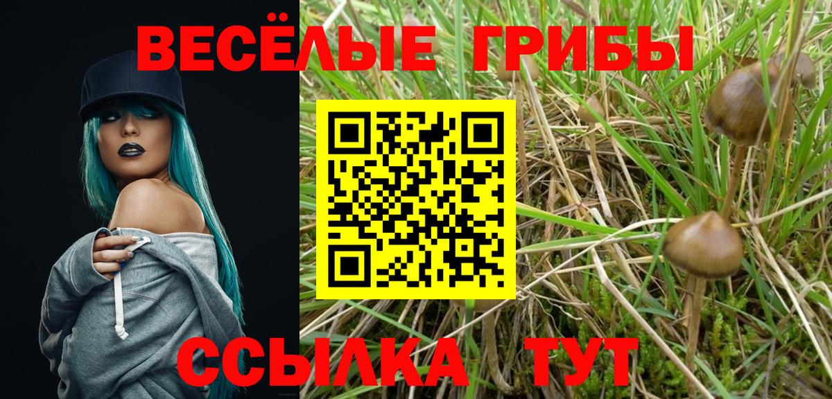 Галлюциногенные грибы GOLDEN TEACHER Усинск
